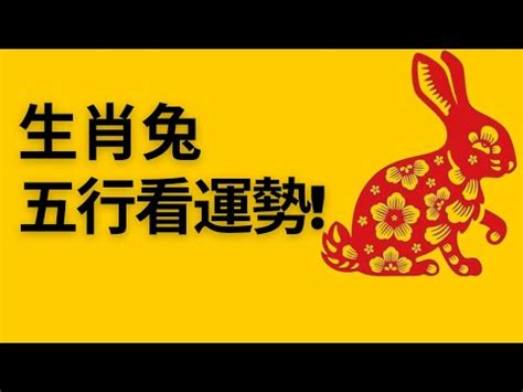 屬兔的五行|屬兔的五行 屬兔五行財運